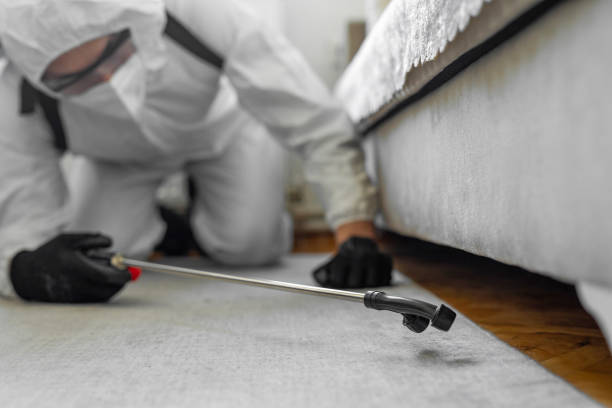 Professional Termite Control technician working in South Hooksett, NH