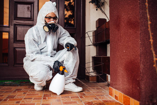 Reliable Termite Control contractor in South Hooksett, NH by Nex Pest Control
